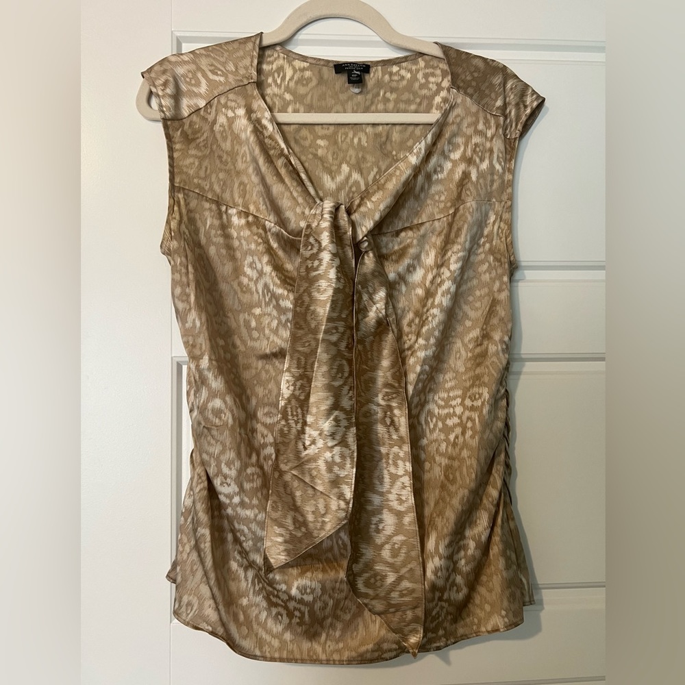 Ann Taylor blouse